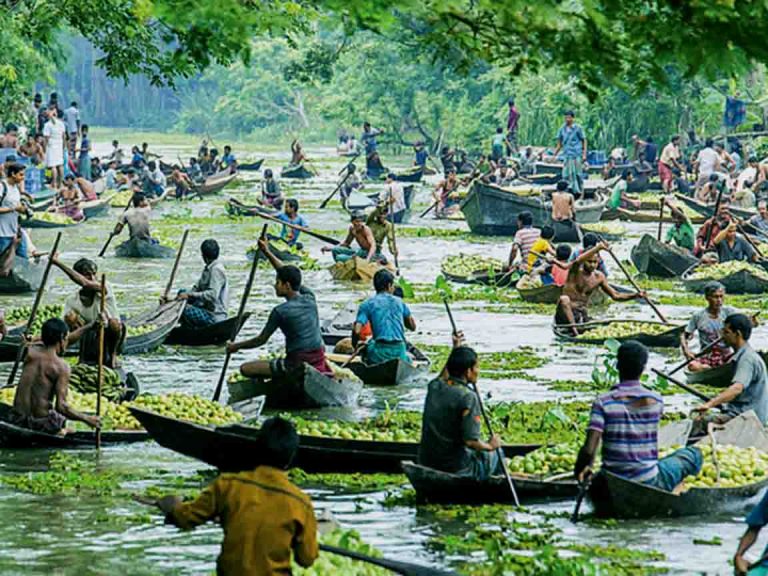 Barisal floating market guava 1 768x576